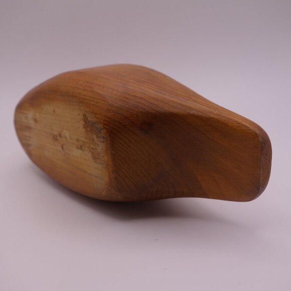 Wood Duck - Picture 14 of 16